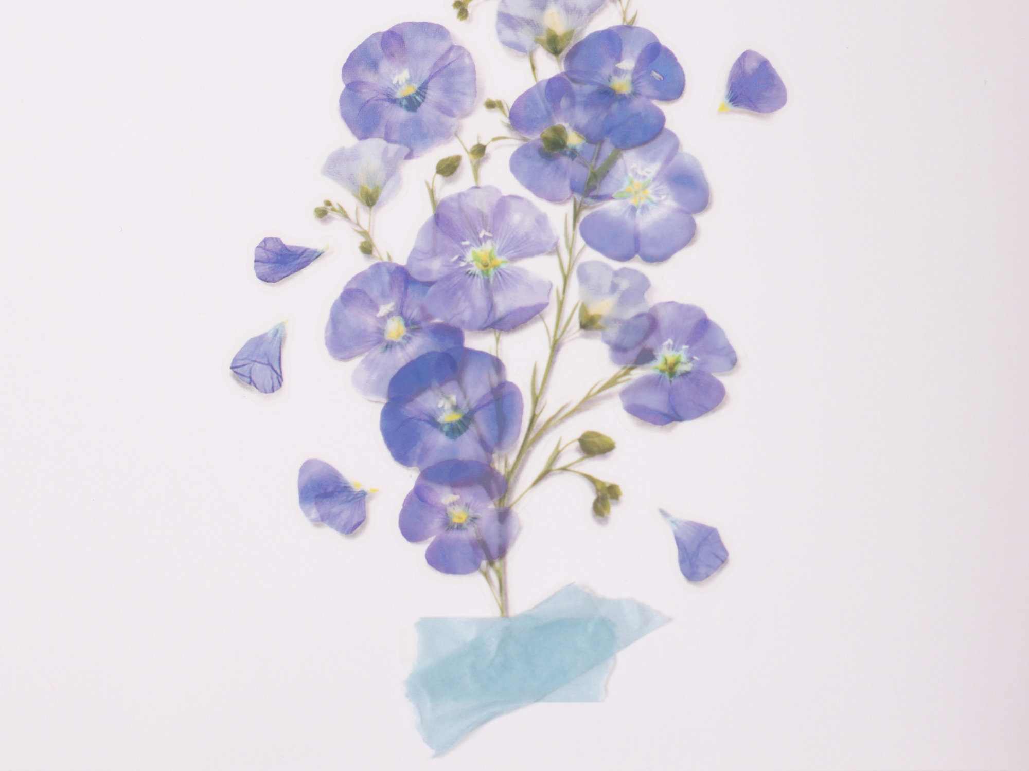 Appree Pressed Flower Stickers - Flax