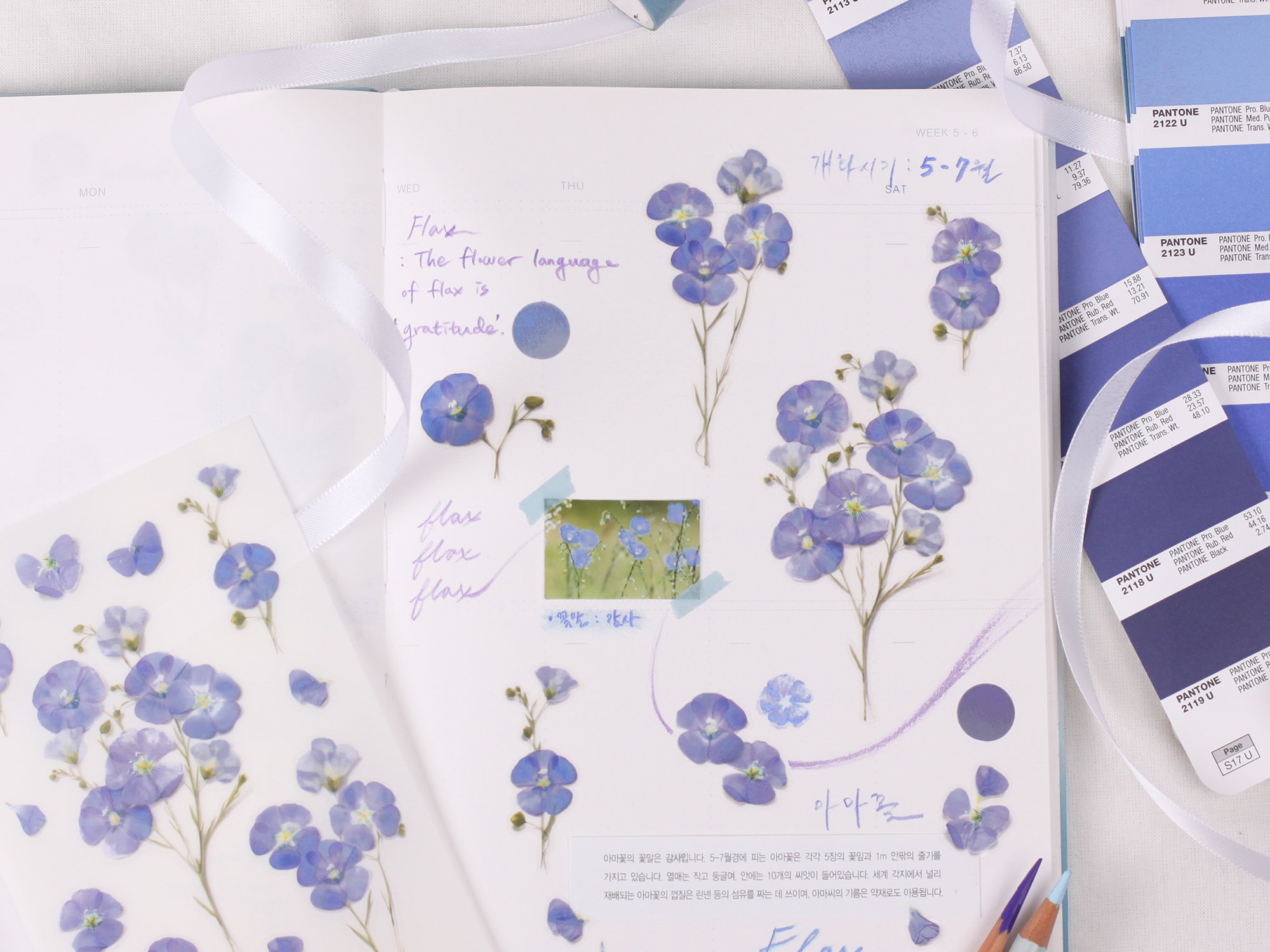 Appree Pressed Flower Stickers - Flax