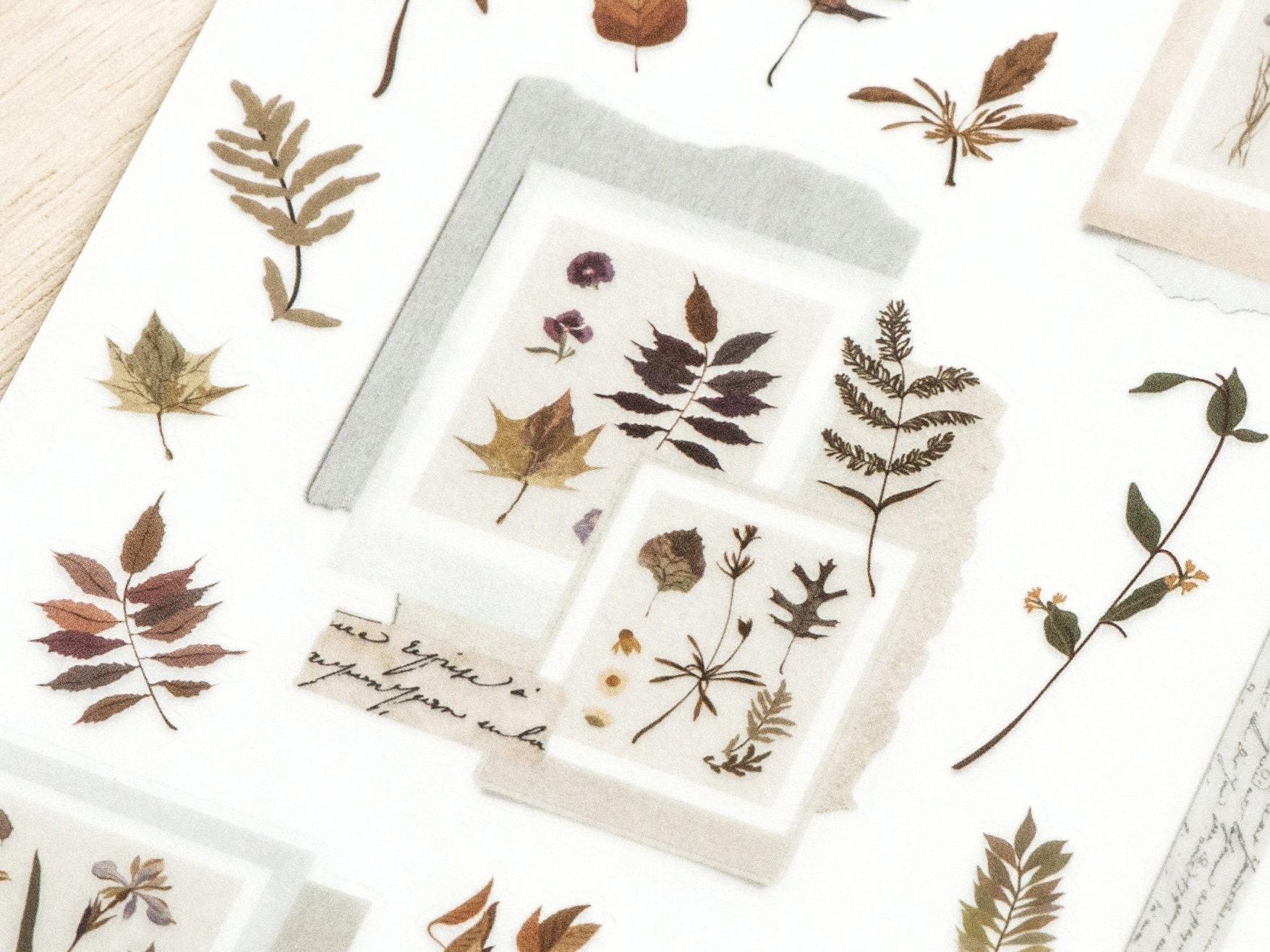 MU Print-On Siirtotarrat 199 - Pressed Plant Journal