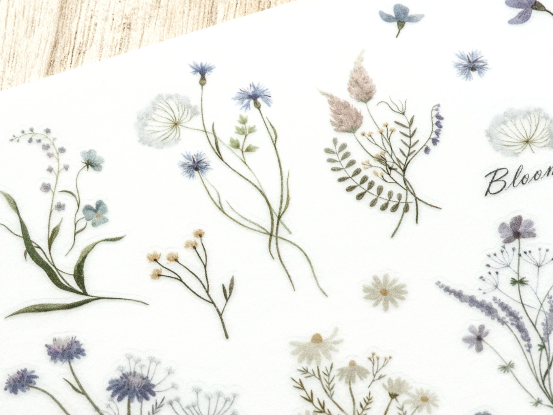 MU Print-On Transfer Stickers 203 -  Valley Of Flowers