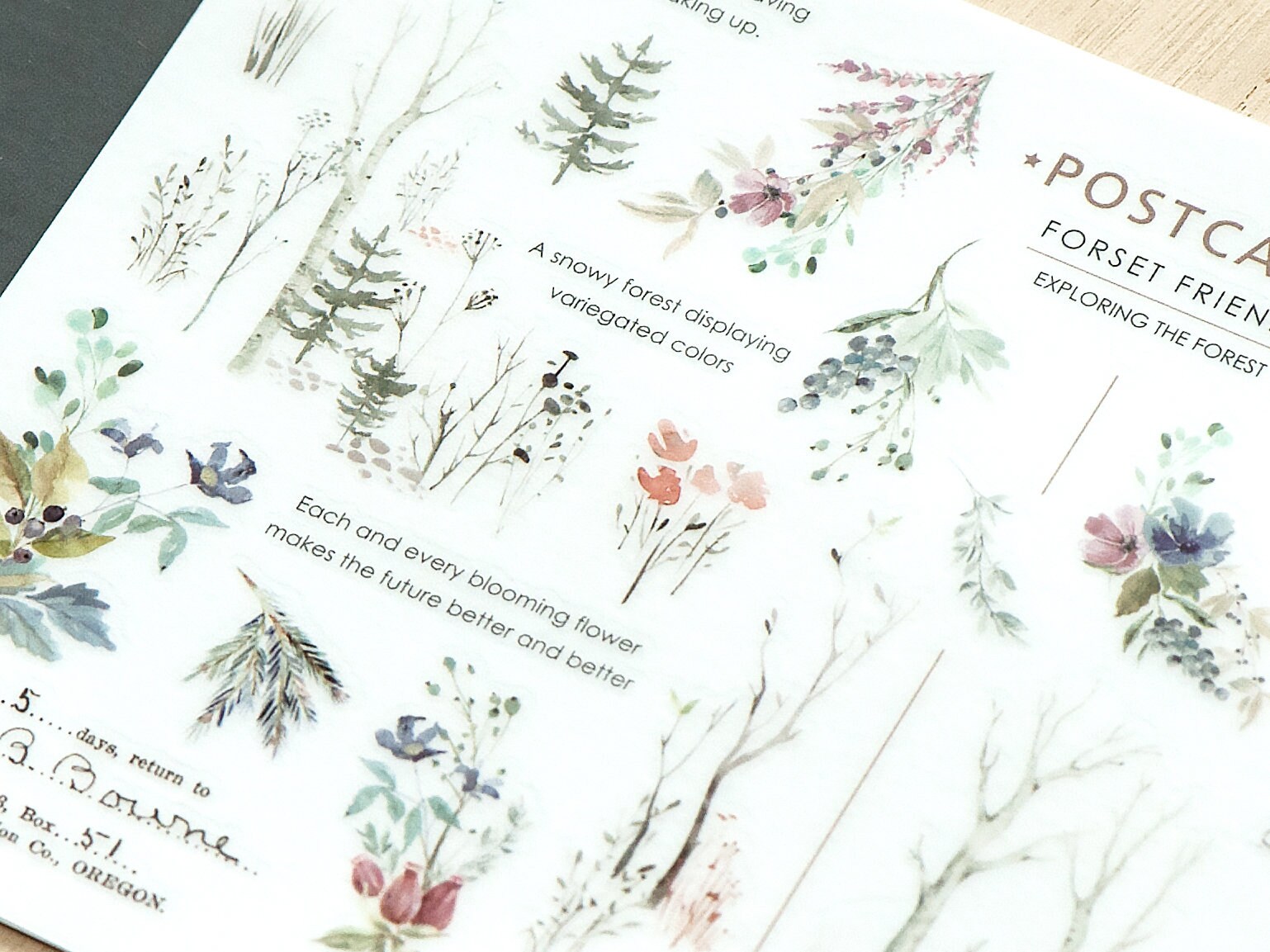 MU Print-On Transfer Stickers 209 - Fox Tales