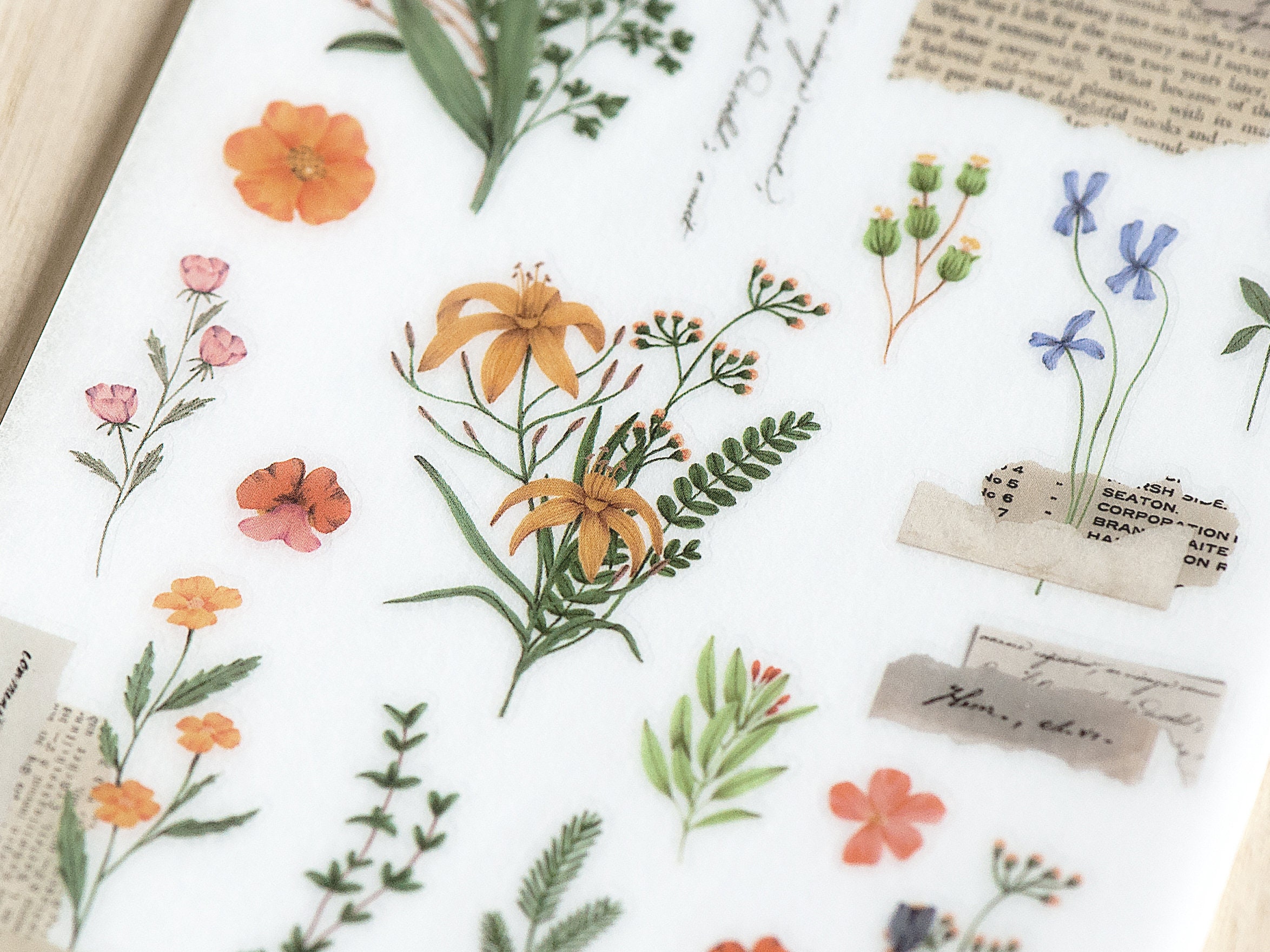 Pre-Order MU Print-On Transfer Stickers 213 - Love For Old Paper