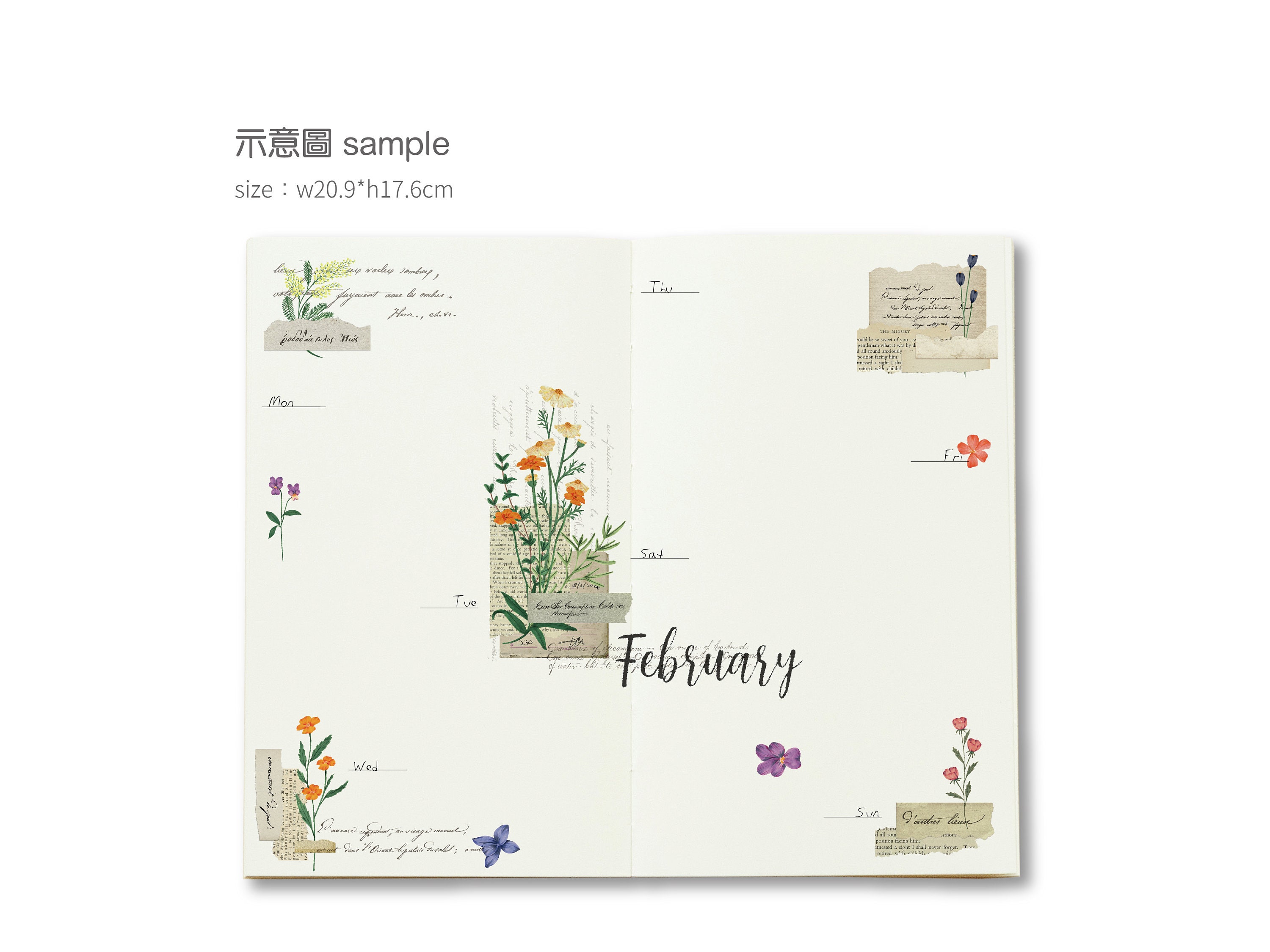 Pre-Order MU Print-On Transfer Stickers 213 - Love For Old Paper