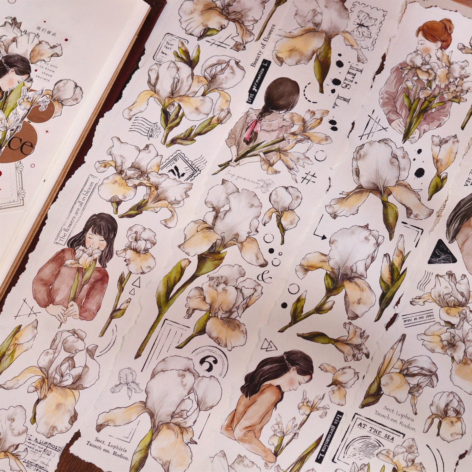 Xiaobaijia Clear PET Tape - Iris