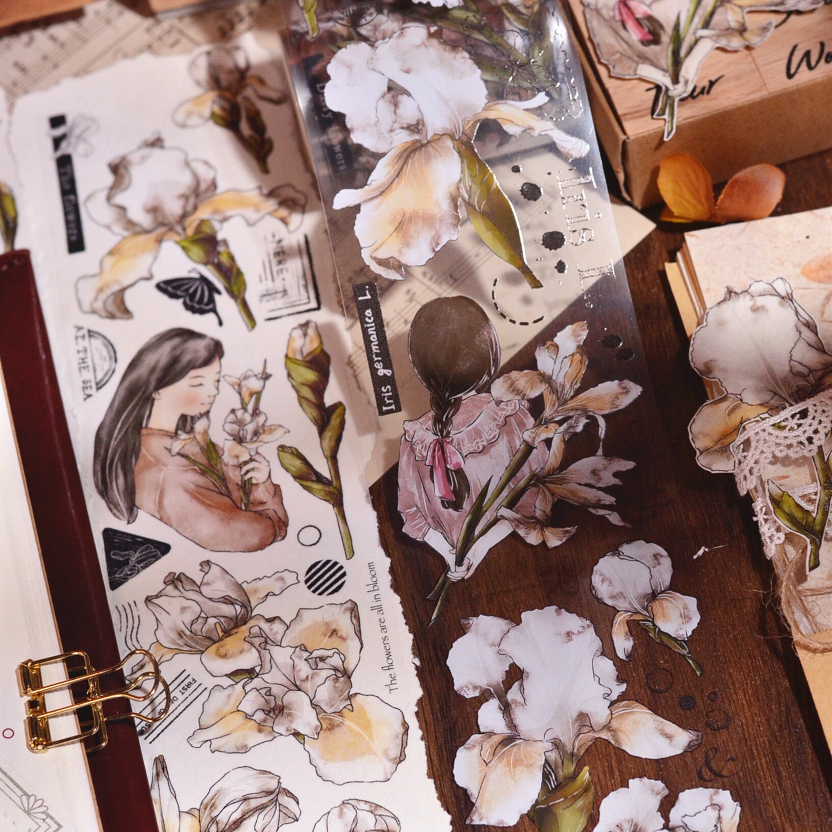 Xiaobaijia Clear PET Tape - Iris