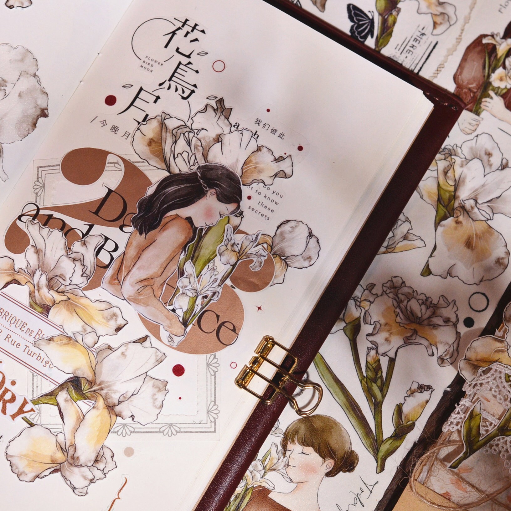 Xiaobaijia Clear PET Tape - Iris