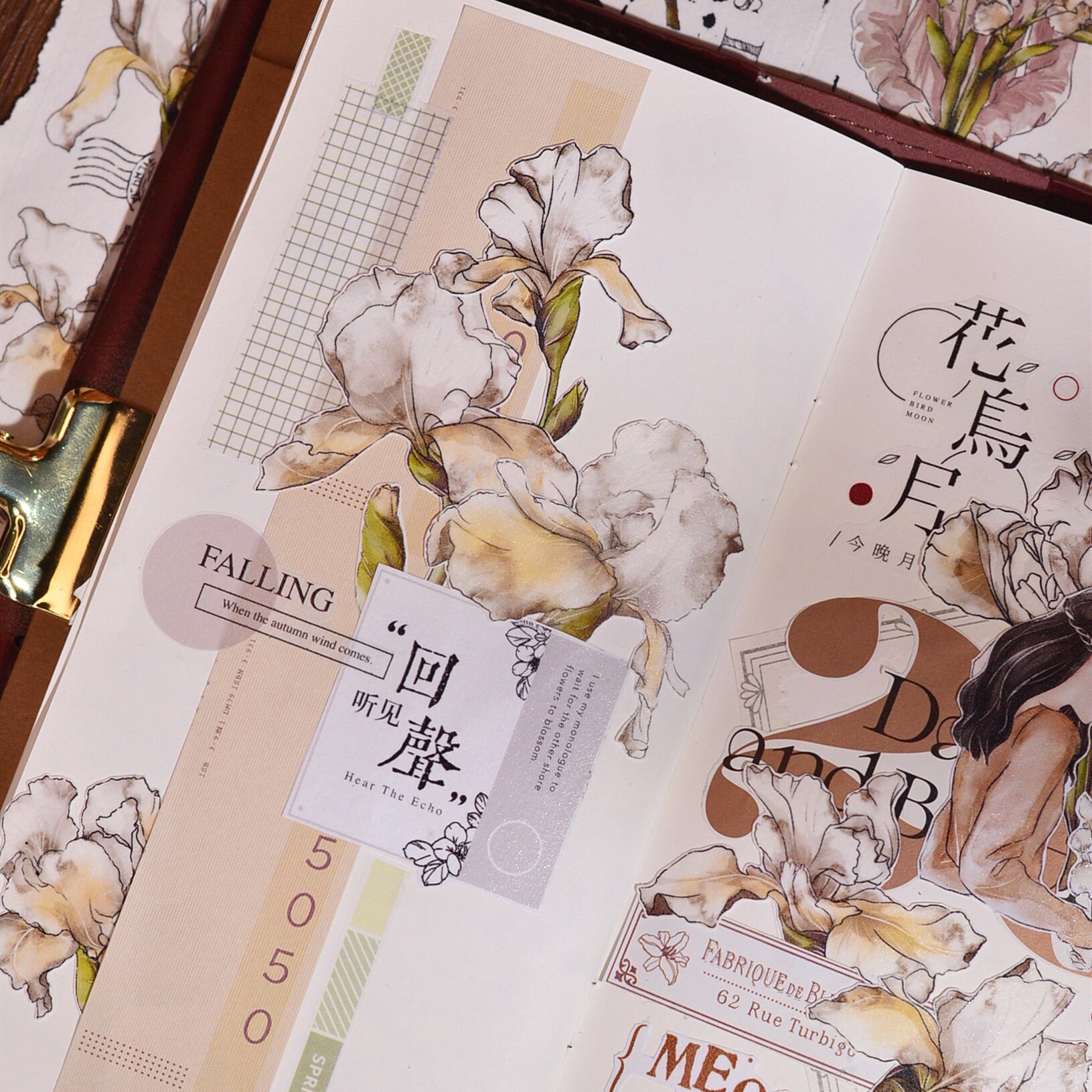 Xiaobaijia Clear PET Tape - Iris