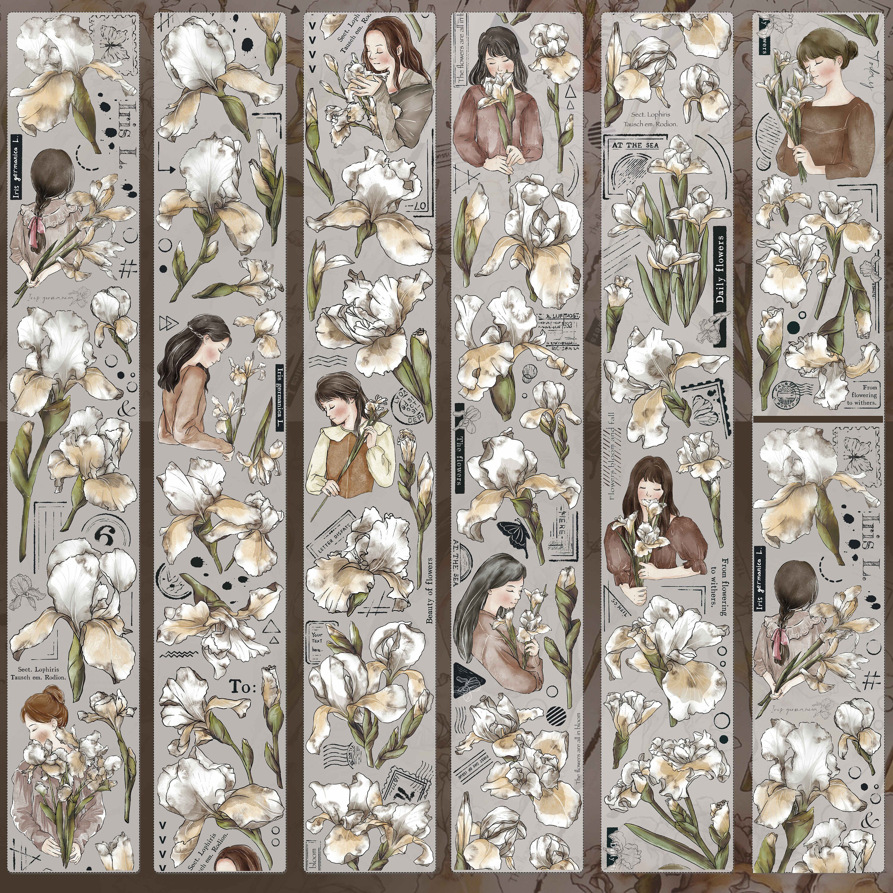 Xiaobaijia Clear PET Tape - Iris