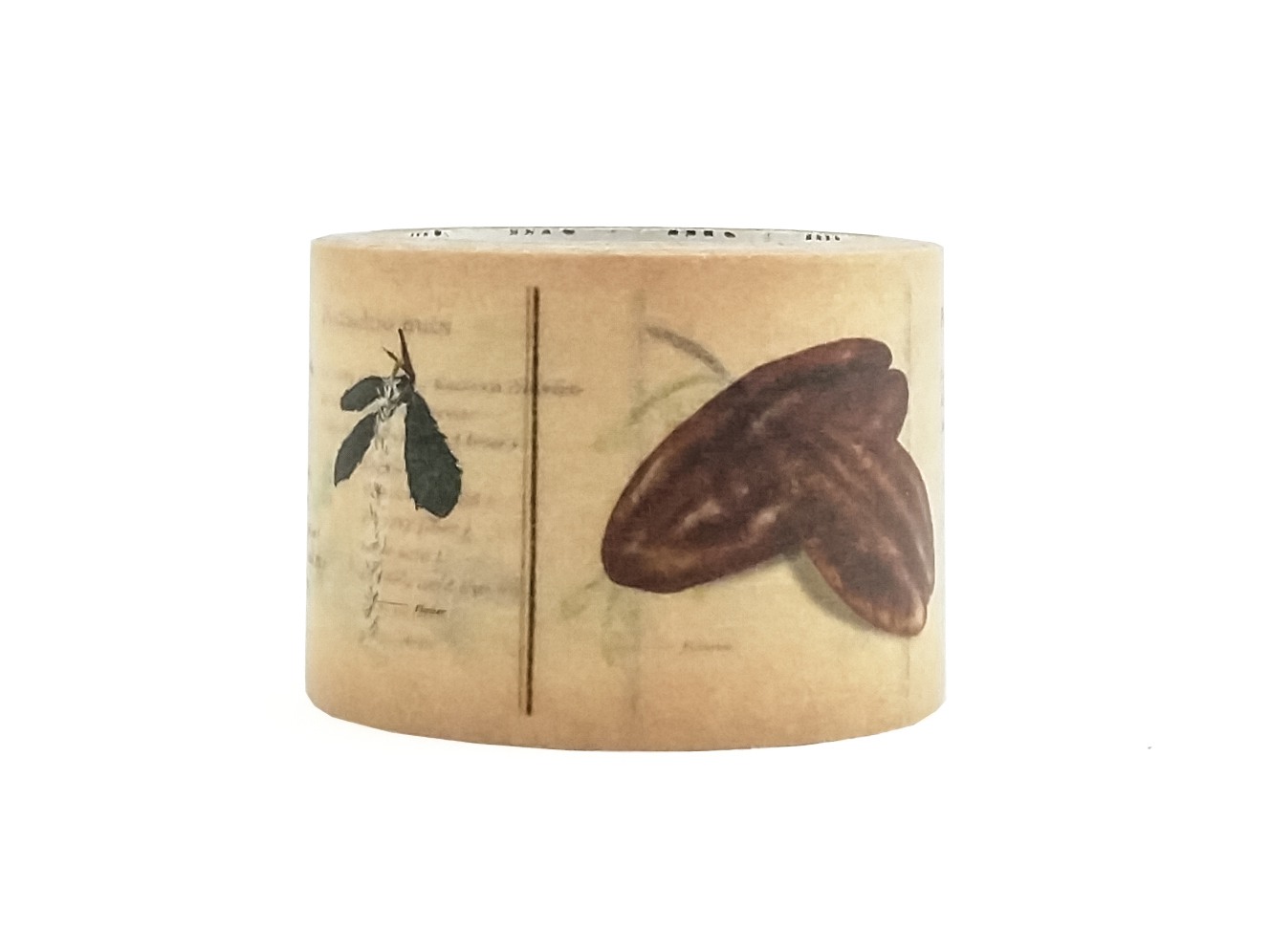 MT EX Washiteippi Encyclopedia - Nuts